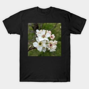 White Tree Flowers 2 T-Shirt